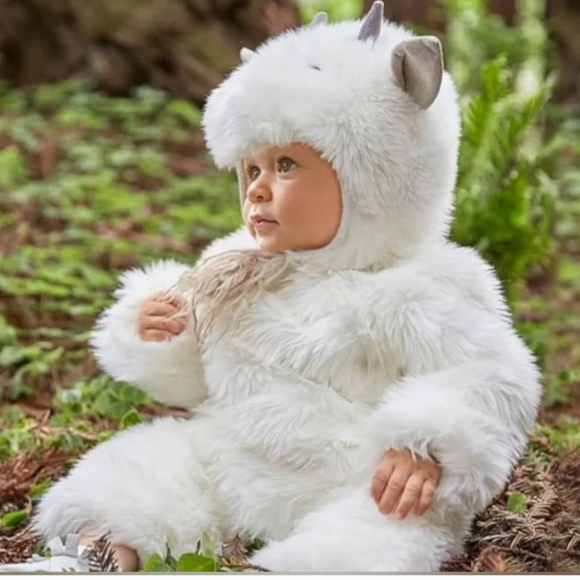 Pottery barn kids mountain goat outfit costume farm halloween
